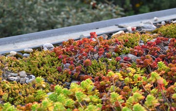 the cost of Gwbert green roof installation