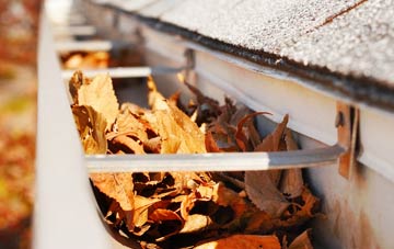 Gwbert gutter cleaning companies
