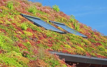 Gwbert living roof systems