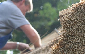 professional Gwbert thatchers