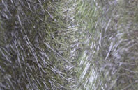 Gwbert fibreglass roof work